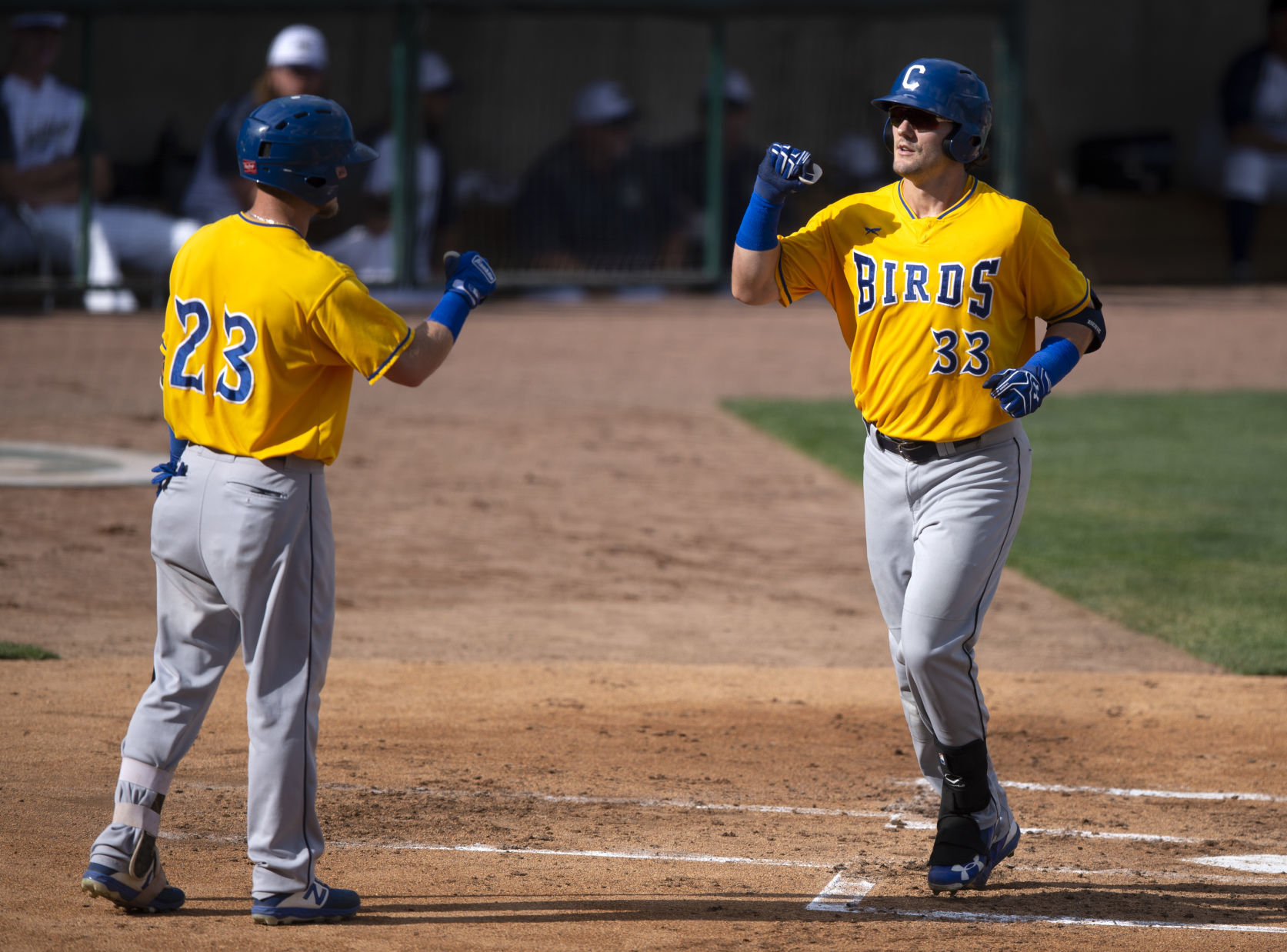 Saltdogs vs Sioux Falls , 8.11